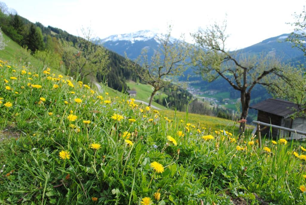 Siedlerhof Apartman Hopfgarten im Brixental Kültér fotó
